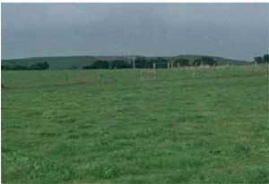 SW48 landscape