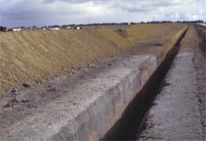 SW60 landscape