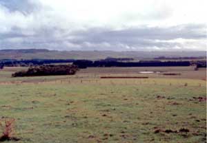SW63 landscape