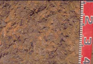 SW67 image 2
