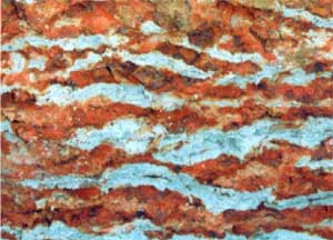 SW67 landscape