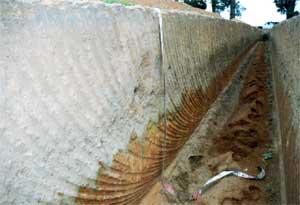 SW70 image 2