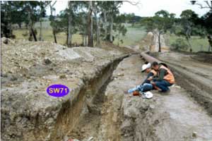 SW71 landscape