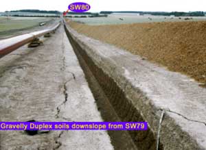 SW80 landscape