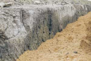 SW82 image 1