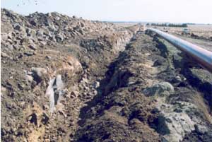 SW86  image 1