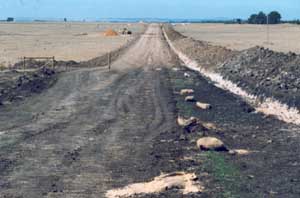SW86  image 2