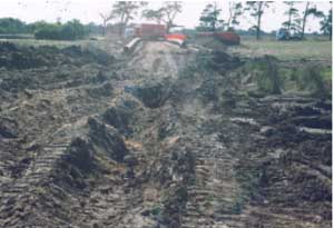 SW88  landscape