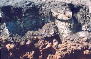 SW89  landscape
