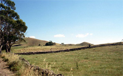 Unit 100 image a