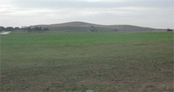 Unit 101 image c