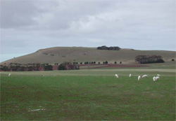 Unit 102 image b