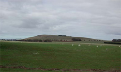 Unit 102 image c