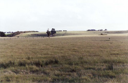 Unit 103 image a