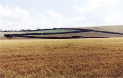Unit 104 image a