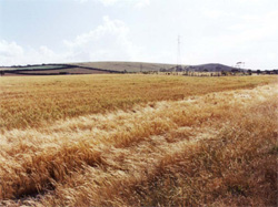 Unit 104 image b