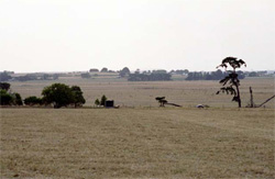 Unit 105 image b