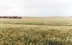 Unit 106 image a