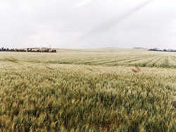Unit 106 image b