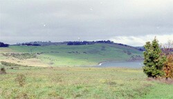 Unit 107 image c