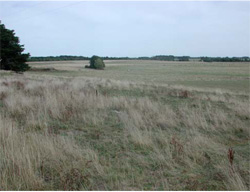 Unit 108 image c