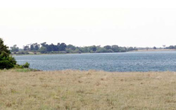 Unit 109 image c