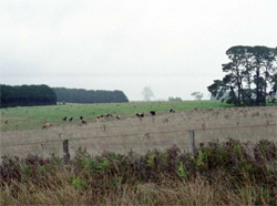 Unit 110 image b