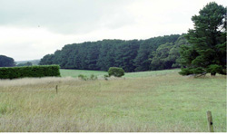 Unit 110 image c