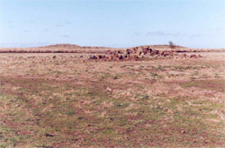Unit 112 image b