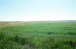 Unit 112 image c