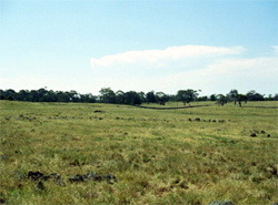 Unit 113 image b