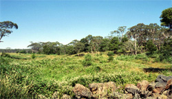 Unit 113 image c