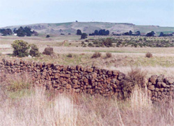 Unit 114 image b
