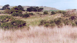 Unit 114 image c