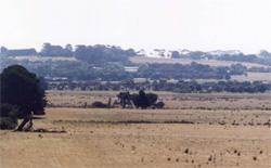 Unit 115 image a