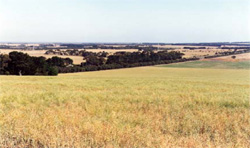 Unit 115 image c