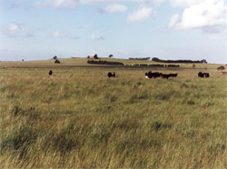 Unit 116 image b