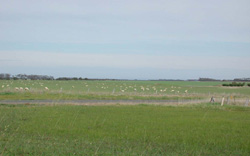 Unit 117 image a