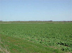 Unit 117 image b