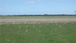 Unit 117 image c
