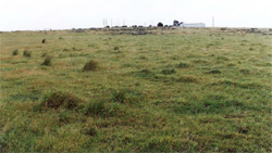 Unit 118 image a