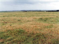 Unit 118 image b