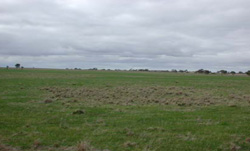 Unit 119 image c
