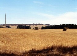 Unit 11 image b