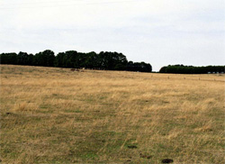 Unit 120 image b