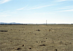 Unit 121 image b
