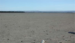 Unit 121 image c