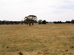 Unit 122 image b