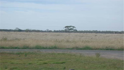 Unit 122 image c