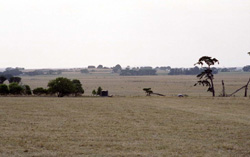Unit 124 image a